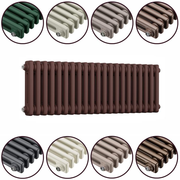 300 x 1013mm 'Accent Collection' Horizontal Traditional 2 Column Radiator