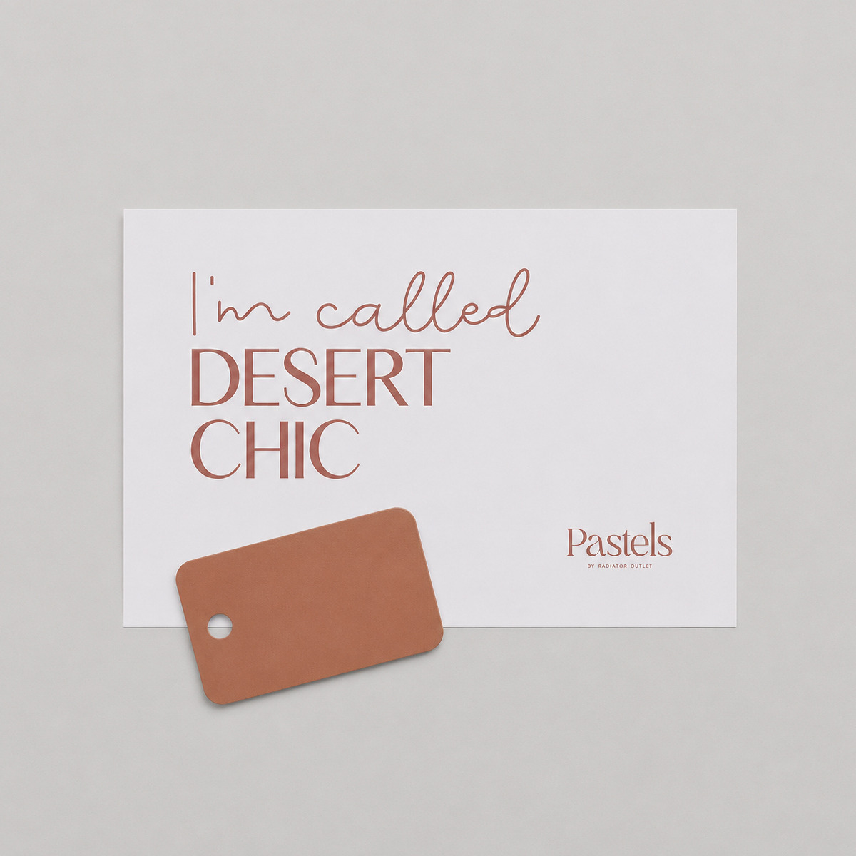Desert Chic Colour Sample