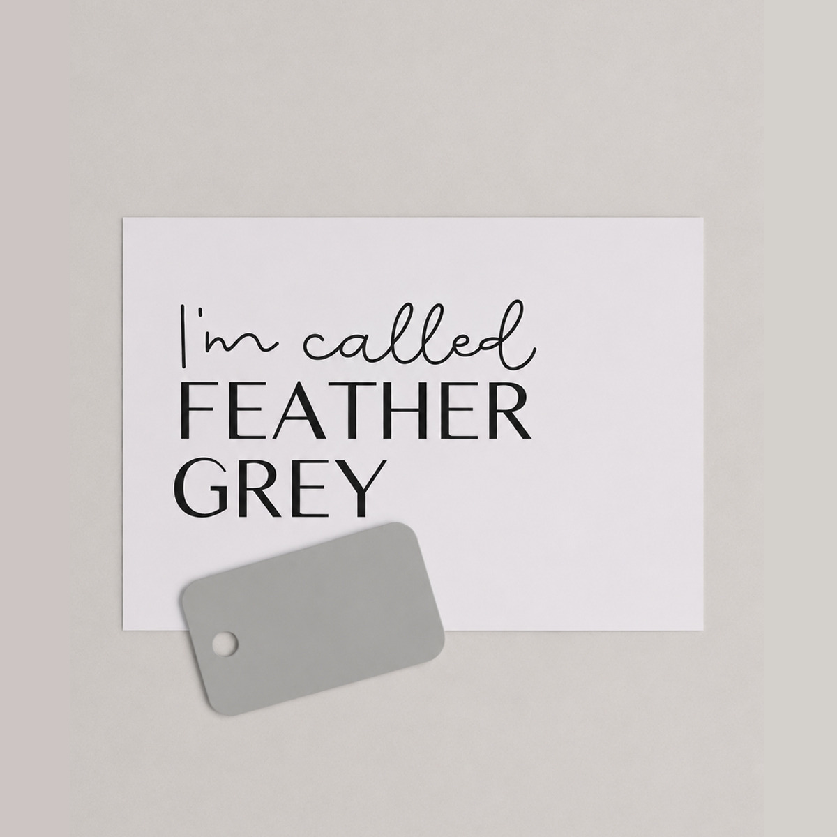 Feather Grey Colour Sample
